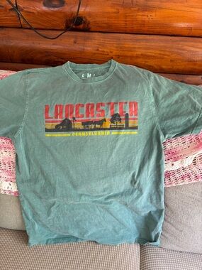 Pale green Lancaster Pennsylvania Crewneck Graphic Tee Amish buggy tee vintage